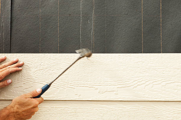 Best Siding Painting and Refinishing  in Ridgeway, AK